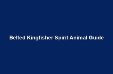 Belted Kingfisher Spirit Animal Guide