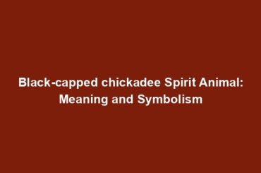 Black-capped chickadee Spirit Animal: Meaning and Symbolism