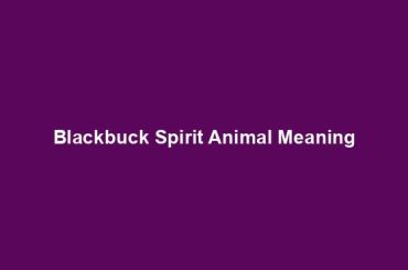 Blackbuck Spirit Animal Meaning