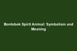 Bontebok Spirit Animal: Symbolism and Meaning