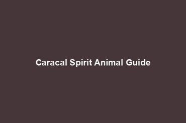 Caracal Spirit Animal Guide