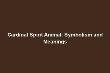 Cardinal Spirit Animal: Symbolism and Meanings