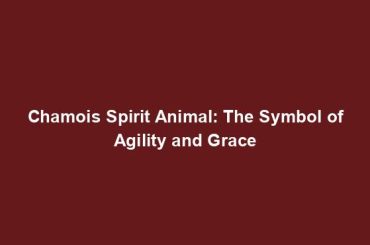 Chamois Spirit Animal: The Symbol of Agility and Grace