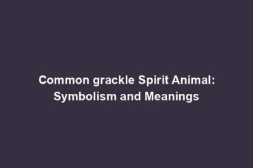 Common grackle Spirit Animal: Symbolism and Meanings