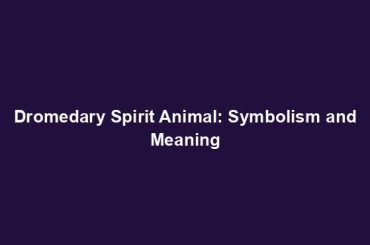 Dromedary Spirit Animal: Symbolism and Meaning