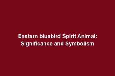 Eastern bluebird Spirit Animal: Significance and Symbolism