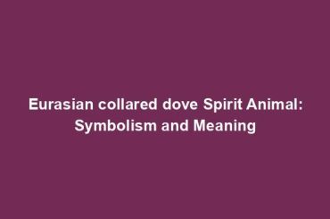 Eurasian collared dove Spirit Animal: Symbolism and Meaning