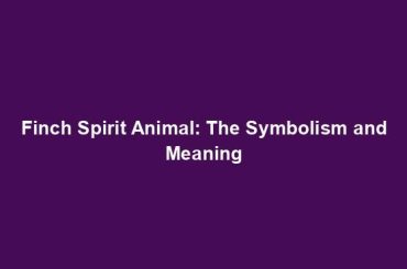 Finch Spirit Animal: The Symbolism and Meaning