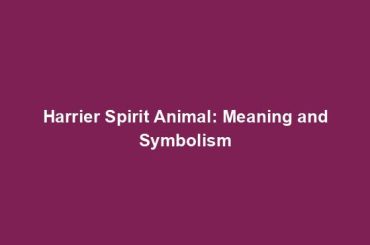 Harrier Spirit Animal: Meaning and Symbolism