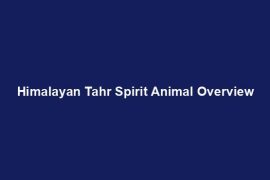 Himalayan Tahr Spirit Animal Overview
