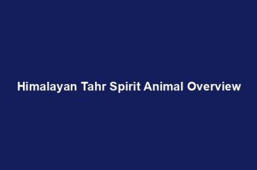 Himalayan Tahr Spirit Animal Overview