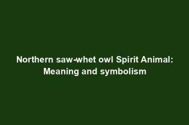 Northern saw-whet owl Spirit Animal: Meaning and symbolism