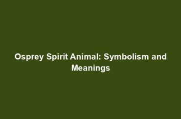 Osprey Spirit Animal: Symbolism and Meanings