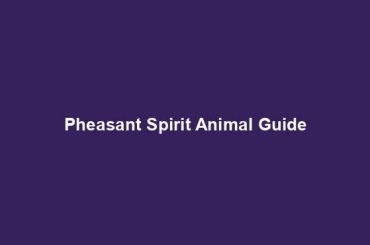 Pheasant Spirit Animal Guide