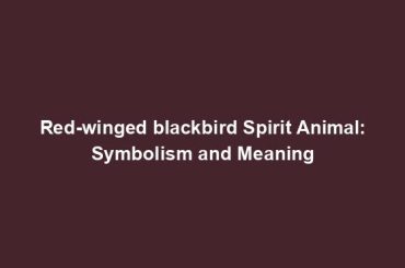 Red-winged blackbird Spirit Animal: Symbolism and Meaning