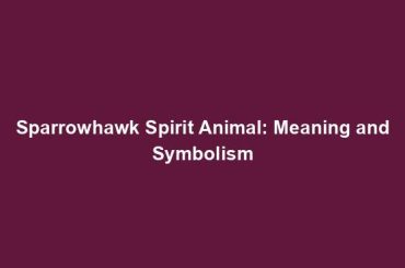 Sparrowhawk Spirit Animal: Meaning and Symbolism