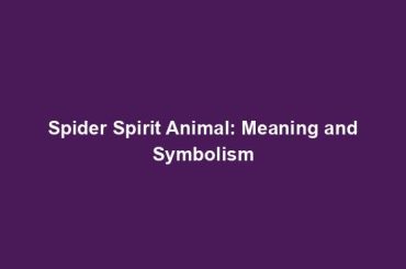 Spider Spirit Animal: Meaning and Symbolism