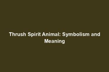 Thrush Spirit Animal: Symbolism and Meaning