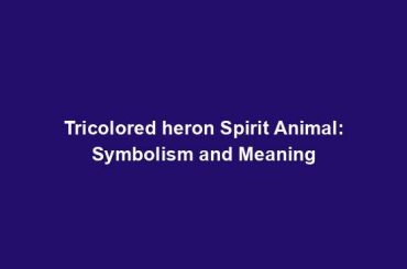 Tricolored heron Spirit Animal: Symbolism and Meaning