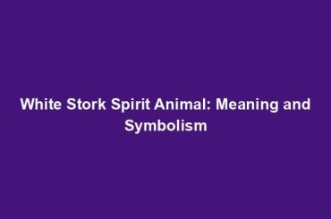 White Stork Spirit Animal: Meaning and Symbolism