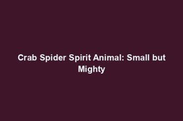 Crab Spider Spirit Animal: Small but Mighty