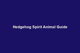 Hedgehog Spirit Animal Guide