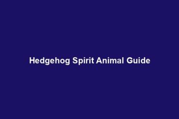 Hedgehog Spirit Animal Guide