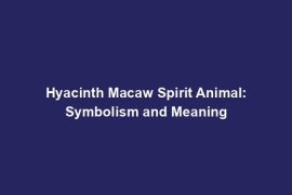 Hyacinth Macaw Spirit Animal: Symbolism and Meaning