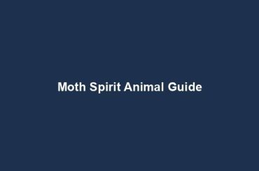 Moth Spirit Animal Guide
