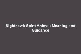 Nighthawk Spirit Animal: Meaning and Guidance