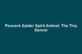 Peacock Spider Spirit Animal: The Tiny Dancer