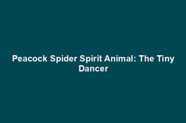Peacock Spider Spirit Animal: The Tiny Dancer