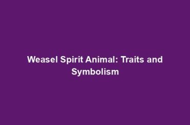 Weasel Spirit Animal: Traits and Symbolism